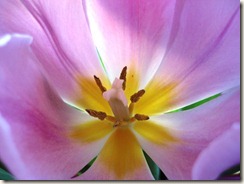 IMG_3589