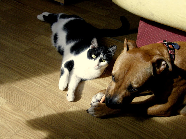 P3105316.JPG