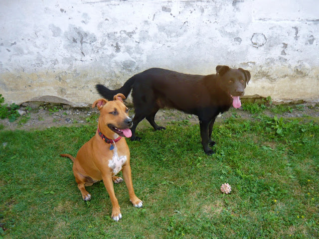 P1000249.JPG