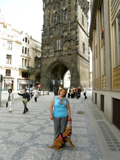 P5287429.JPG