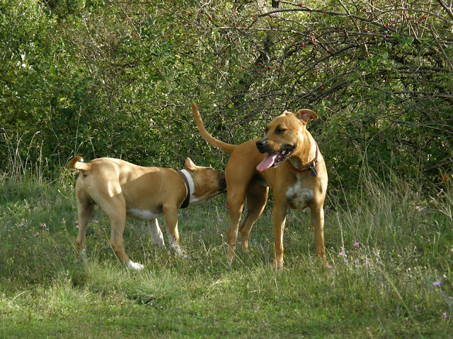 P9289393.JPG
