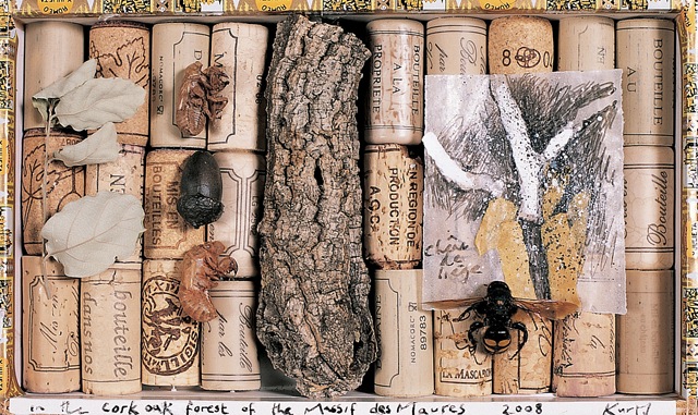 [In the cork oak forest[3].jpg]