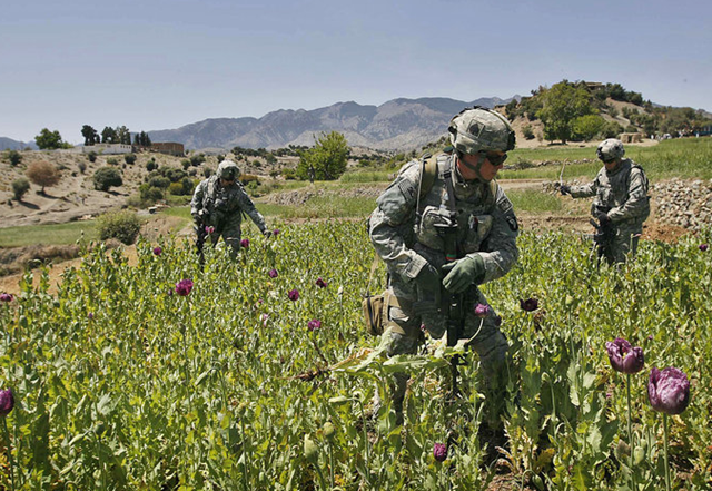 [afghanistan-opium-fields[3].png]