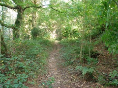 View of footpath 