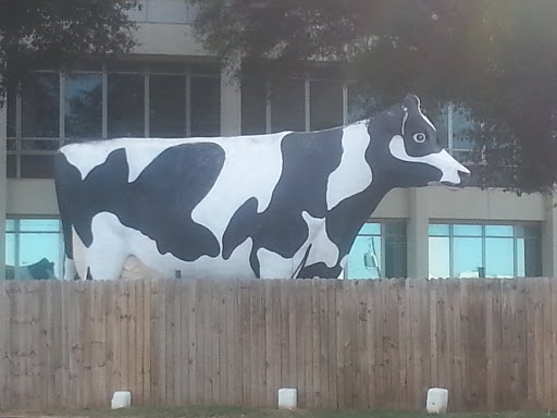 Giant Art Cow