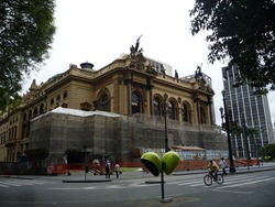 Cãonhecendo São Paulo (106)