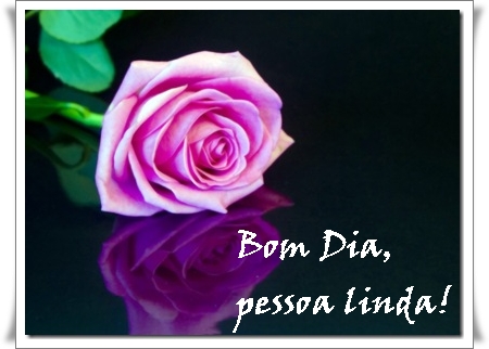 7212rosa3_thumb%5B1%5D.jpg