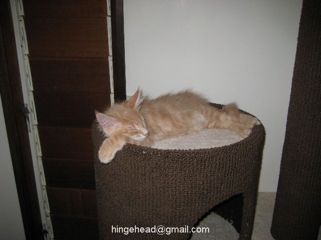http://lh4.ggpht.com/_iXb0DHXT6Tg/SWv3oed3CDI/AAAAAAAAAQc/ALszqruoy3k/s800/img%20060.jpg
