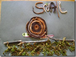 snail 001