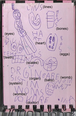 [naomi's anatomy book[3].jpg]