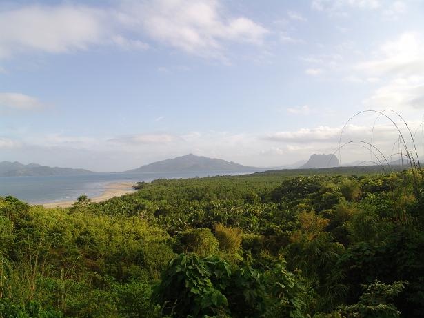 [mangrove forest from Sibaltan extending to nearby barangays[3].jpg]