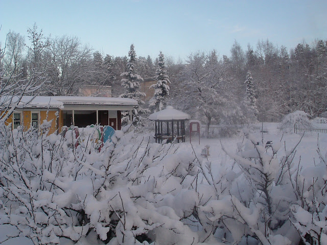 DSCF7276.JPG