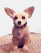 1139929394.gif