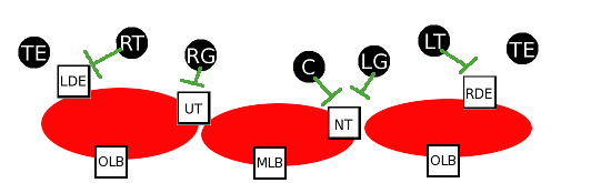 diagram-based4.png