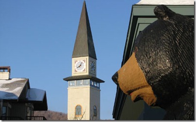 The bear watches the tower with interest.