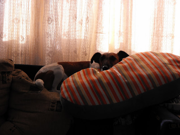 DSCF6498.JPG