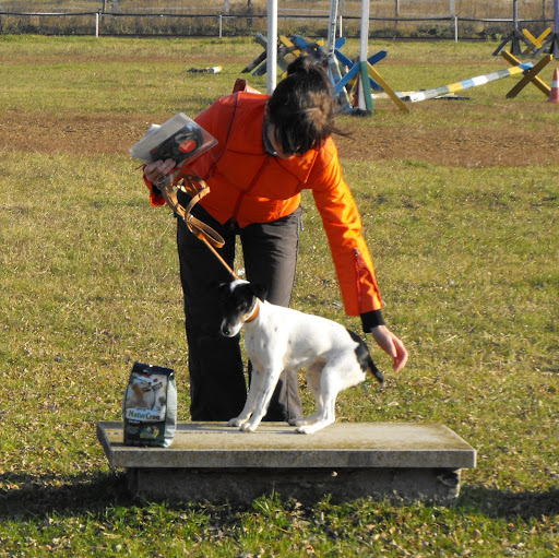 DSCF8819.JPG