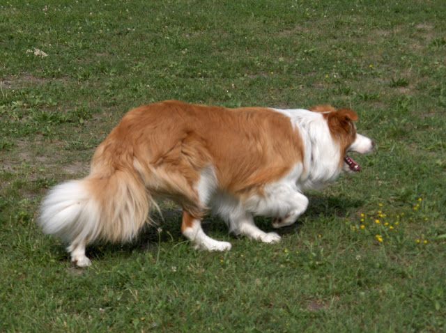 HPIM1031.jpg