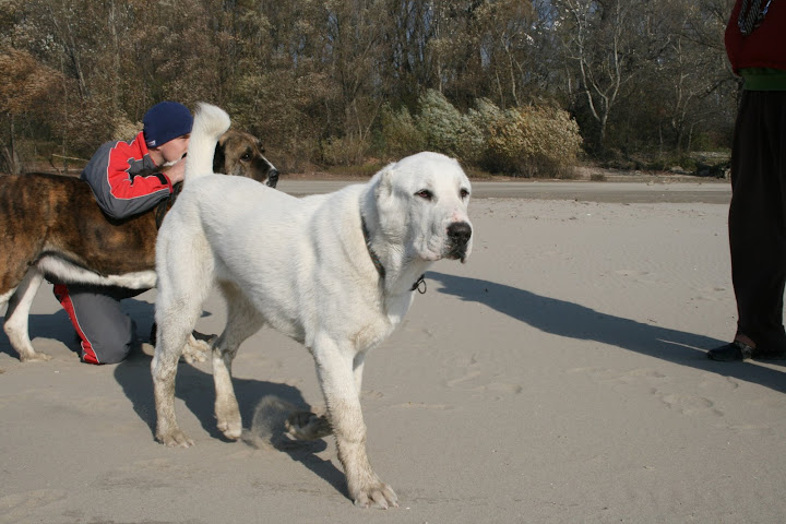 Moji%203%20CAO%20kluci%20034.jpg