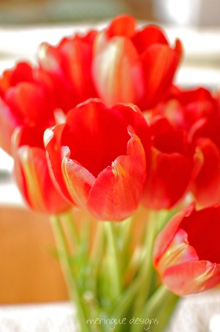 [red tulips 008 copy[3].jpg]