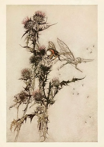[rackham[4].jpg]