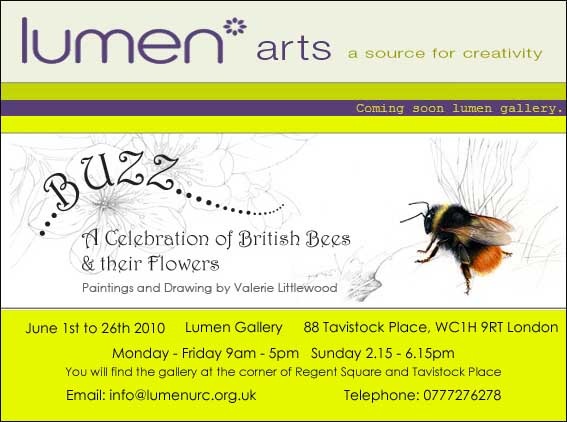 [bee banner 3[8].jpg]