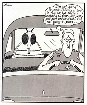 bee in car