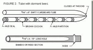 diagram nest