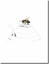 Black English Honey Bee - Copy