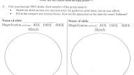 Plant Vs Animal Cell Worksheet : Worksheets include cell organelle matching, cell scientist ... - Plant vs animal cell worksheet.