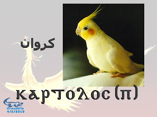 الطيور باللغــــــة القبطيــــ†ــــة بالصور
