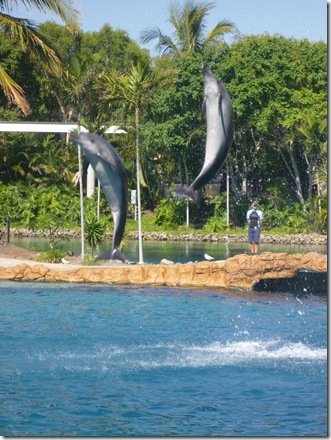 21 seaworld dolphin show