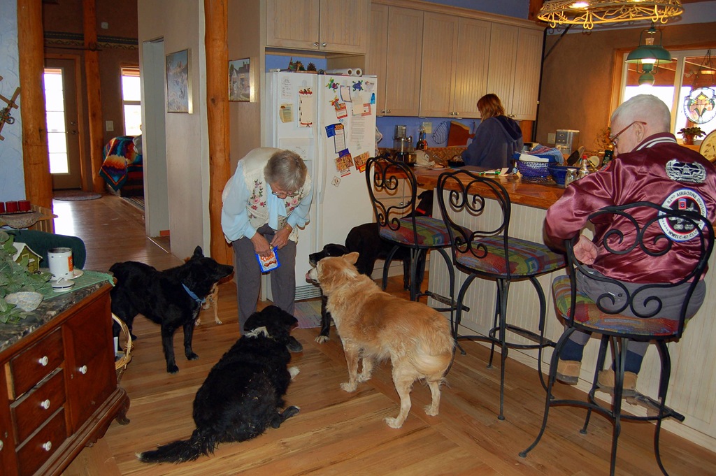 [DSC_0011[3].jpg]