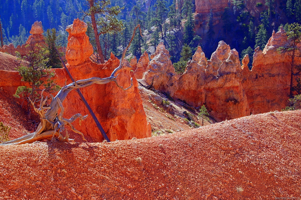 [DSC_0036[2].jpg]