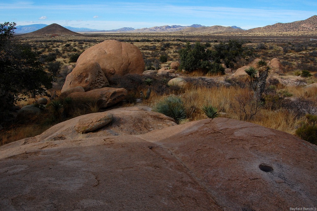 [DSC_0801[5].jpg]
