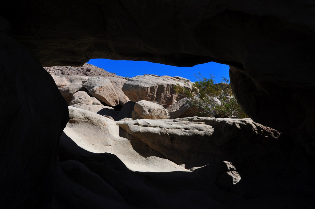 [DSC_01446.jpg]