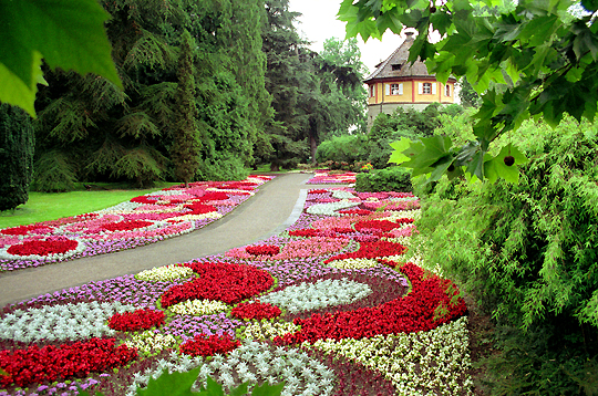mainau5.jpg