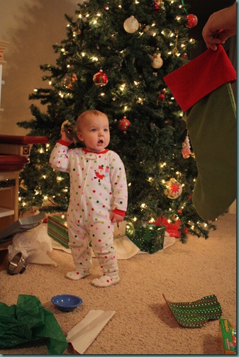 IMG_2104 IMG_2104