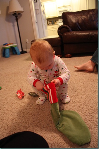 IMG_2109 IMG_2109
