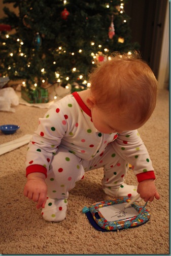 IMG_2113 IMG_2113