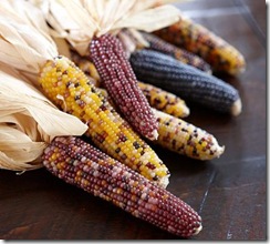 pb corn