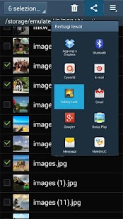 Gallery Lock (italiano) Screenshot