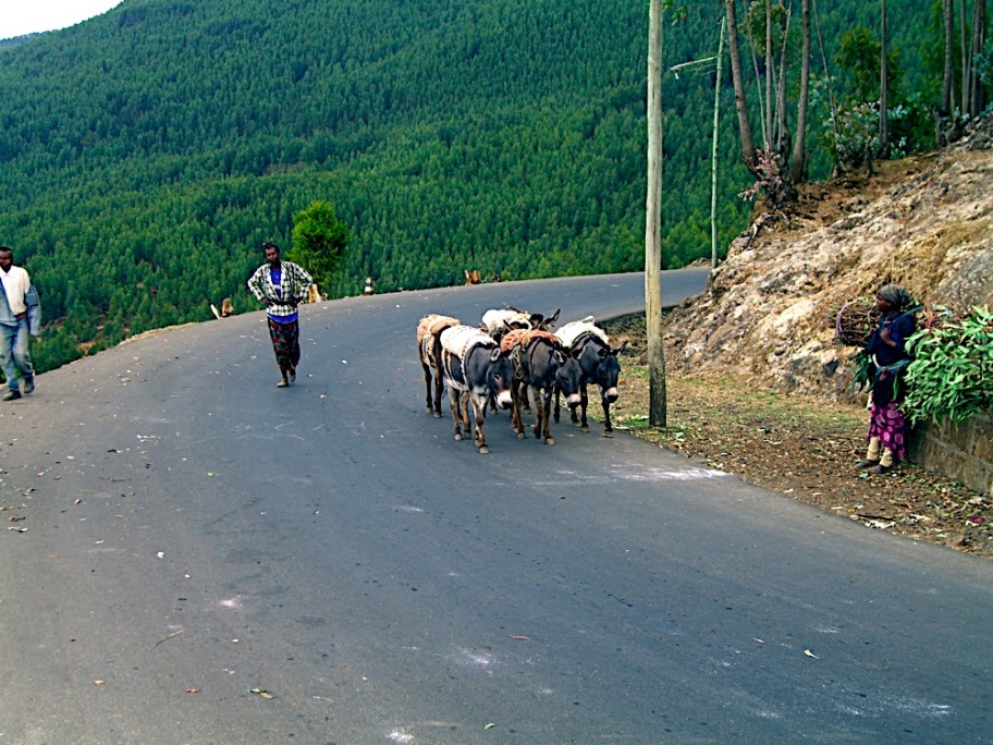 Ethiopia (ኢትዮጵያ)| Country Gallery | Page 15 | SkyscraperCity Forum