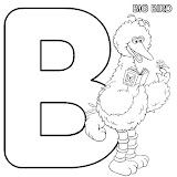 b_bigbird.jpg