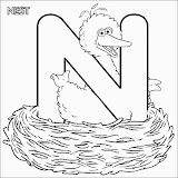 n_bigbird.jpg