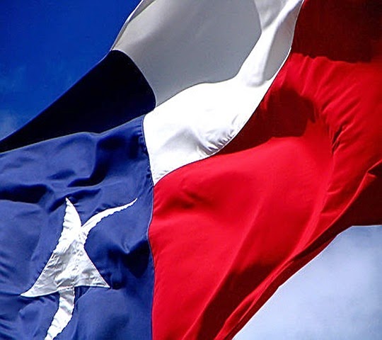 [TexasFlag[4].jpg]