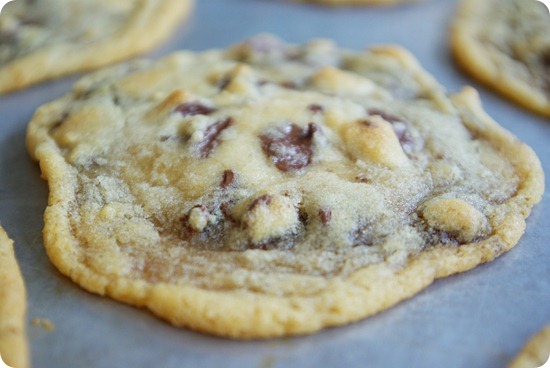 Vegan Chocolate Chip Cookies