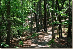 Trail Beginning Trail Beginning