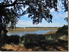 View Across Marsh