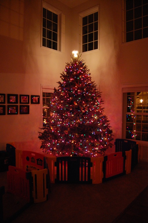 [Christmas Tree 2010 040[4].jpg]